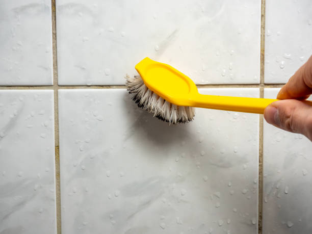 Best Affordable Mold Removal  in Nd Lake, WI