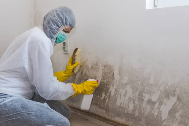 Water Damage Restoration in Wind Lake, WI