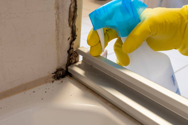 Best Crawl Space Mold Removal  in Nd Lake, WI