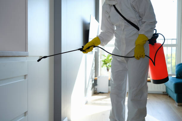 Best Office Mold Removal Services  in Nd Lake, WI