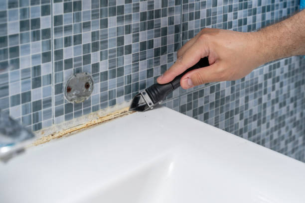 Trusted Wind Lake, WI Mold Removal Experts