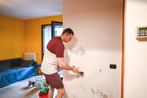 Best Fast Mold Removal  in Nd Lake, WI
